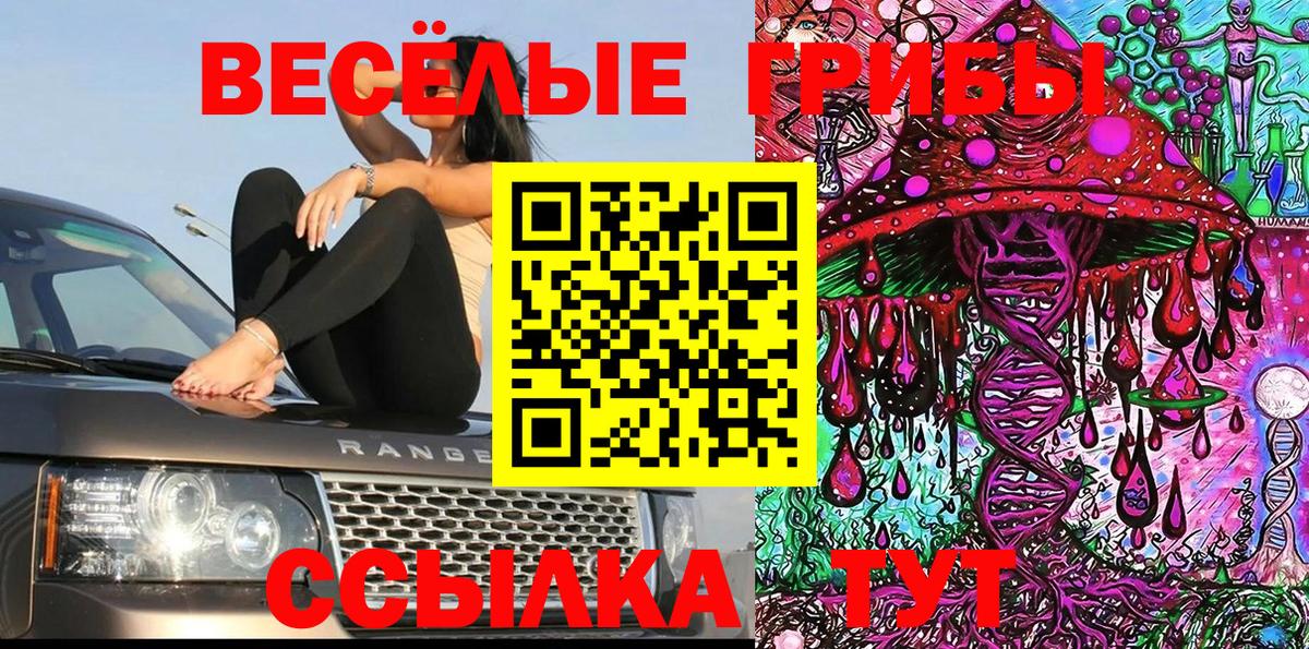Галлюциногенные грибы ЛСД Отрадное